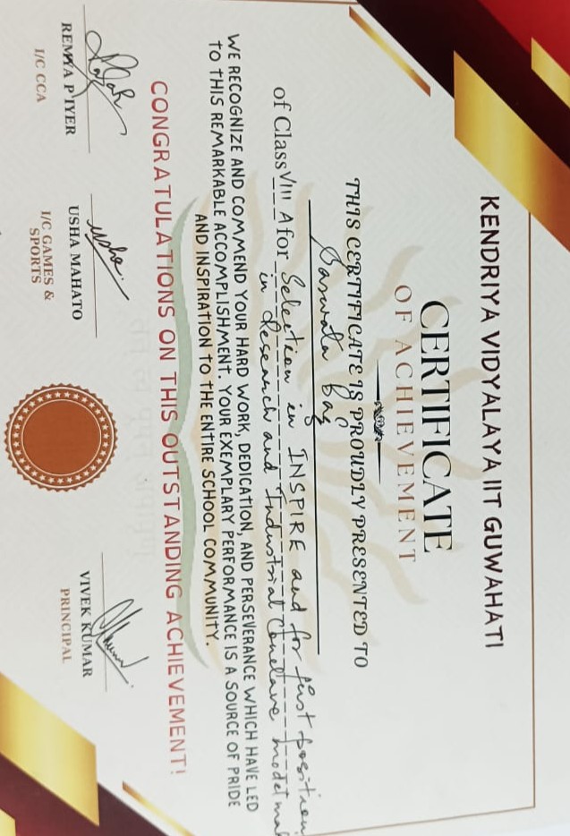 Certificate of Merit - Saswata Bag
