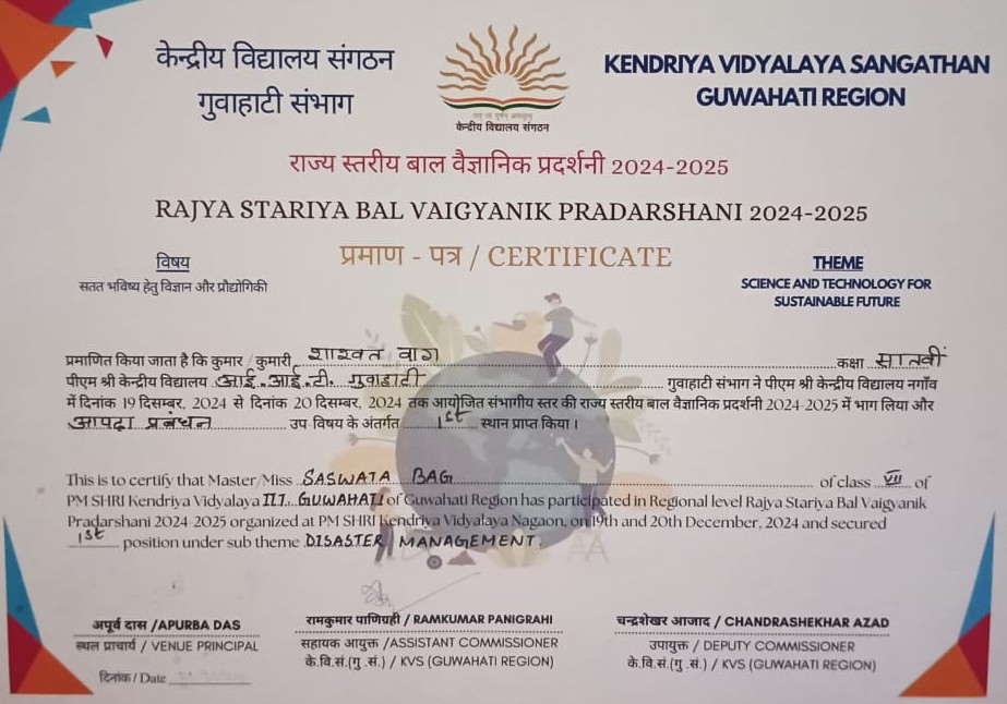 Certificate of Merit - Saswata Bag